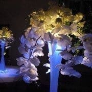 wedding centerpieces, uplighting, pinspotting, lighting design