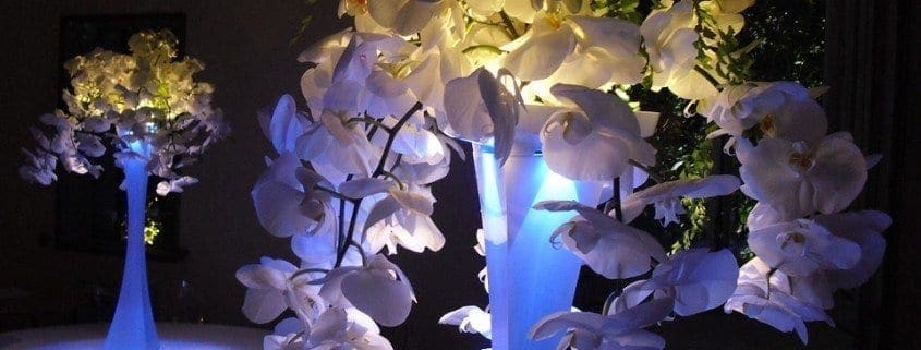 wedding centerpieces, uplighting, pinspotting, lighting design