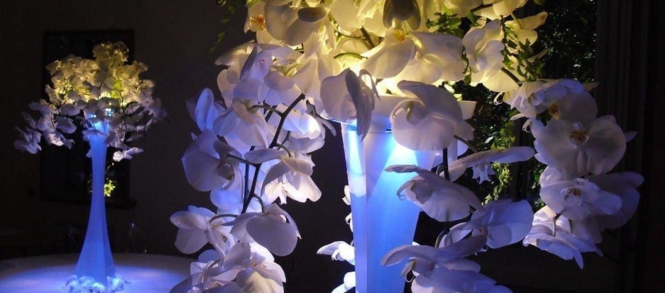 wedding centerpieces, uplighting, pinspotting, lighting design
