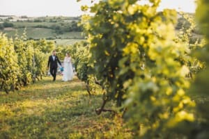 Vineyard Wedding DJ in Colchester CT Priam Vineyards wedding dj